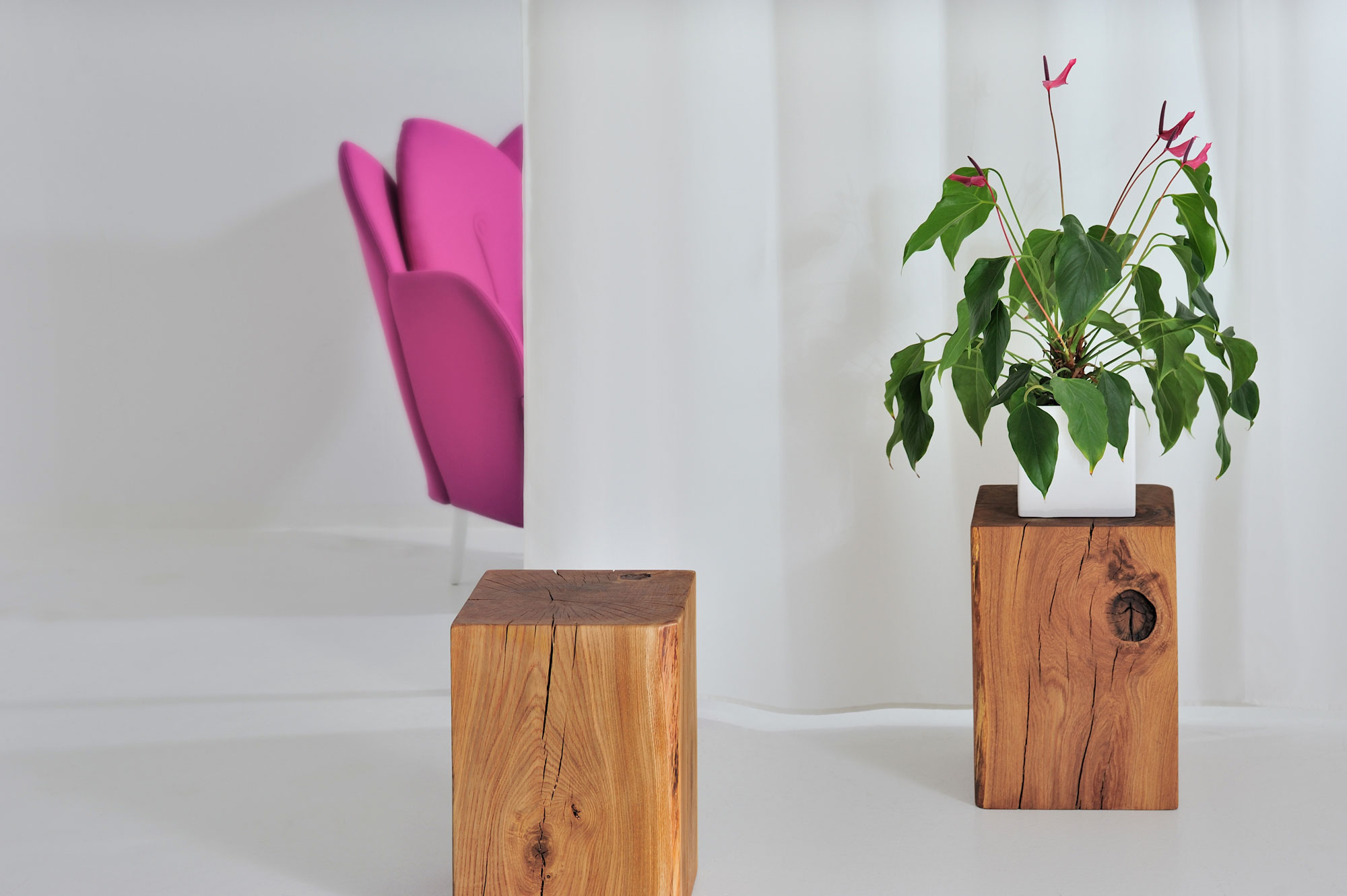 Baumstamm Couchtisch KLOTZ 3708 Maßgefertigt aus Massivholz von vitamin design